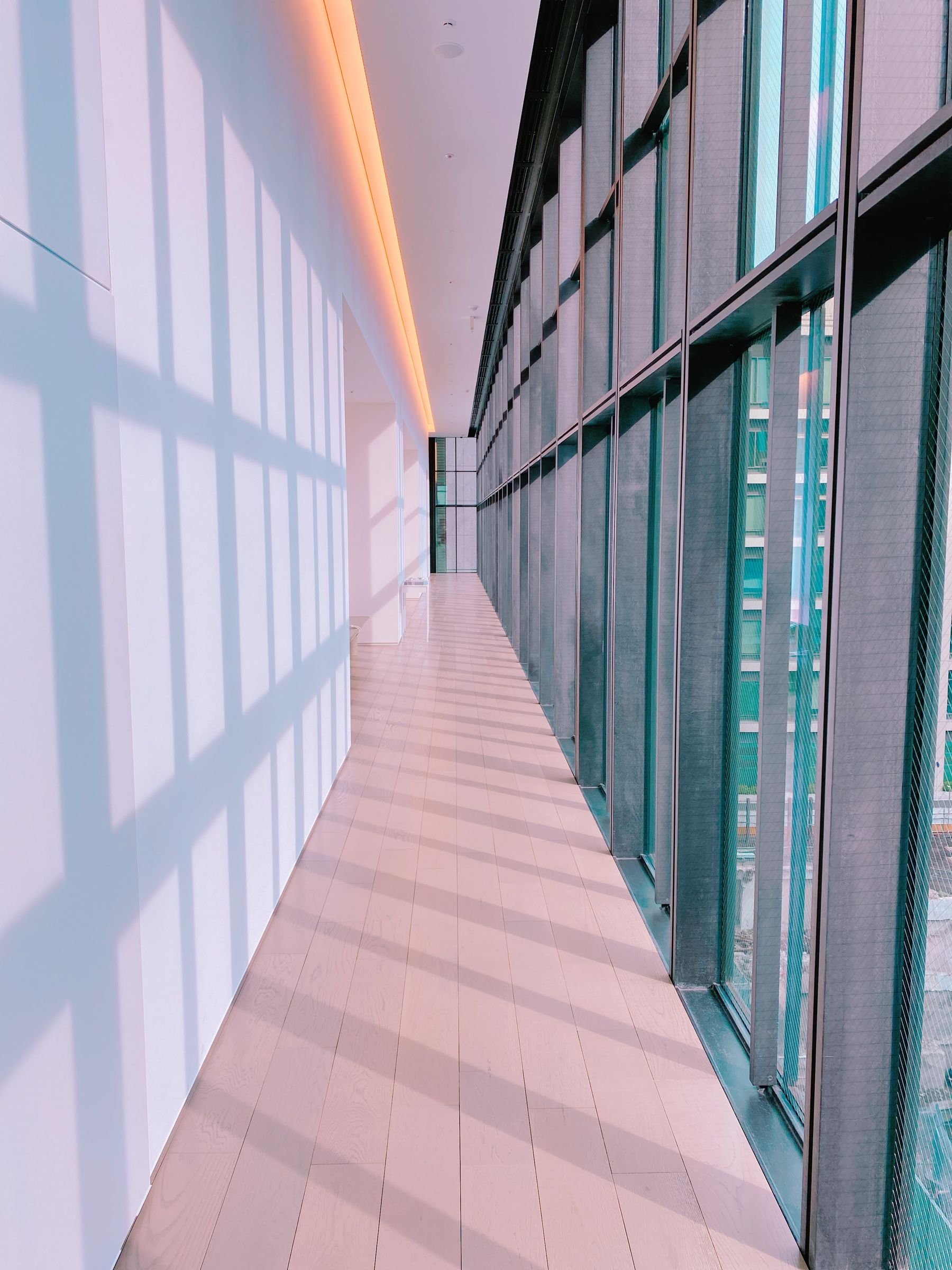 Natural light moving through a precise contemporary interior
